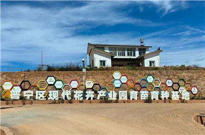 【案例故事】享譽世界的春城花都，世邦助力云南晉寧走出“芬芳”致富路